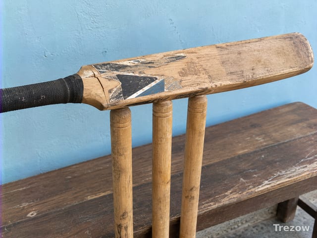 Cricket bat and stumps set