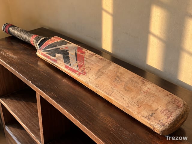 Kashmir willow cricket bat, full size