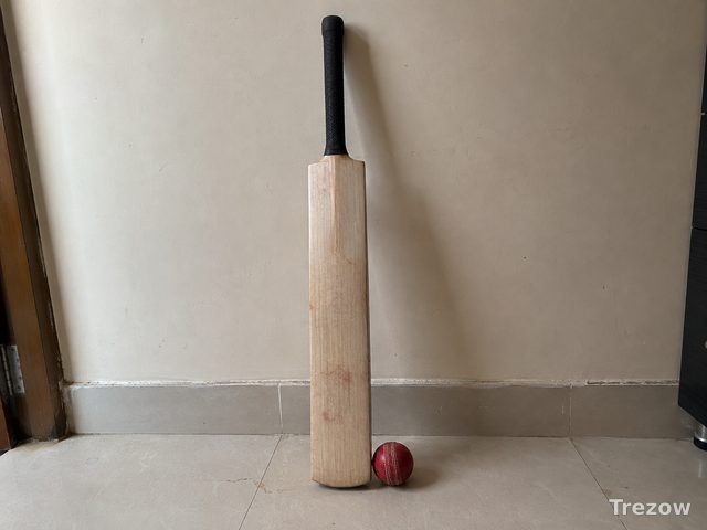 Kashmir willow cricket bat + ball