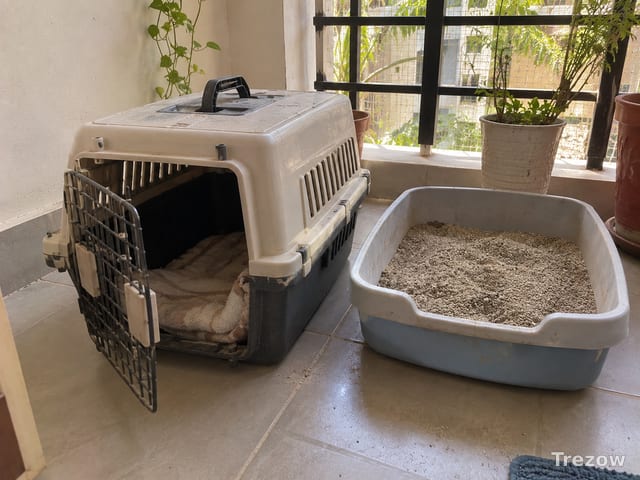 Pet carrier with cat litter tray