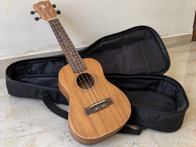 Ukulele with soft carry case